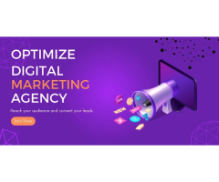 Optimize Digital Marketing Agency Delhi