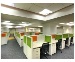 Top #1 Website Company in delhi