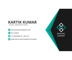 Kartik Digital Marketing Expert in Delhi | SEO | Meta Ads | Leads Generation