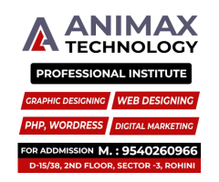 Animax Technology | Website Designing Company in Rohini  Delhi