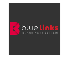 Bluelinks Seo Company In Delhi