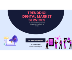 Trend Digi | Best Digital Marketing Agency In Delhi NCR
