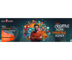 Digit Spider - Best Digital Marketing Agency in Delhi (Web Design | SEO | PPC | Branding