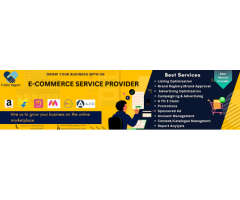 E Seller Support (Amazon Spn Authorized Service Provider)