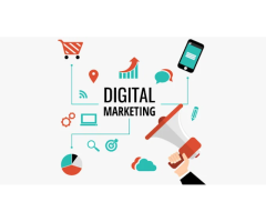 Perfect Digital Solution