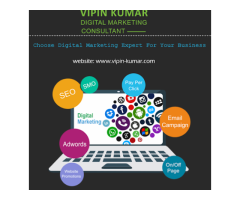 Vipin kumar - Digital Marketing Expert & PPC SEO Expert in Delhi