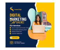 Trend Digi | Best Digital Marketing Agency In Delhi NCR