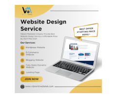 Vibrant Mediatek pvt Ltd- Best Digital Marketing Company