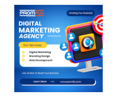 PromFly - Best Digital Marketing Agency in India