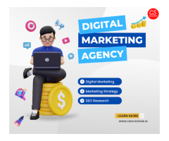 CREATE SPARK- Best Digital Marketing Company in Delhi  SEO Agency   Website Designing