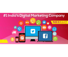 digital marketing company in laxmi nagar - Nexcuit Web Solution
