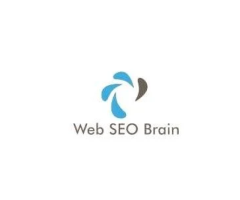 Web SEO Brain Infotech - SEO Services India  Web Design & Development Services Agency