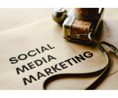 Archeive | Digital Marketing | Website Design | Freelancer