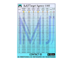 Social Media Hosting Agency