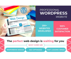 Ajay Kajla - IT Business Consultant