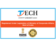 Tech Variant - website design company in delhi & digital Marketing company in delhi