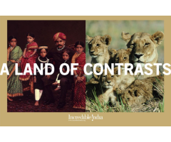 Crayons Advertising Limited