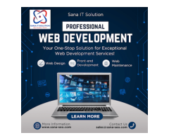 SANA IT SOLUTION: SEO Agency in India