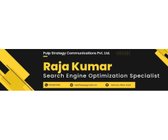 Raja Kumar - SEO and PPC Freelancer in India