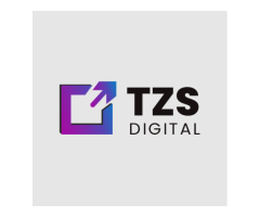 TZS Digital - Top Digital Marketing Agency in Delhi NCR
