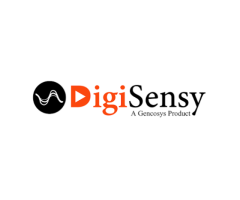 DigiSensy