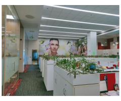 Vestige s Head Office Okhla