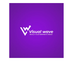 Visual Wave