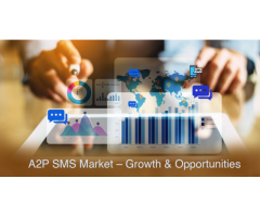 REVE Systems India Pvt. Ltd.