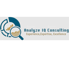 Analyze IQ Consulting | Websites | Apps | Software