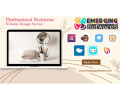 Emerging SoftwareS -Top Ecommerce Web Design Company | Web Designing Company