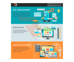 Web Development & Website Design Company in Delhi India  Rizvi Developer