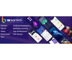 BR Softech- Game Development Company in Delhi