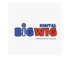 Bigwig Media Digital - Digital Marketing Company