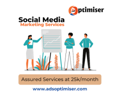 Ads Optimiser Digital Marketing Agency in Delhi