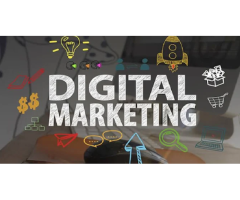 Digital Marketing Services in Delhi | Digital Shekhar Hub