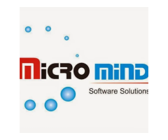 Micro Mind® Digital Marketing Agency in Delhi