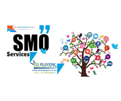 Web Players Technology- Website Designing Company in Central Delhi -