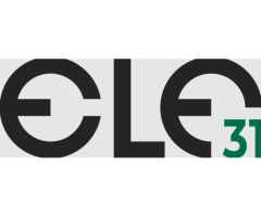 Elf31 Marketing Agency