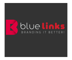 Bluelinks Seo Company In Delhi