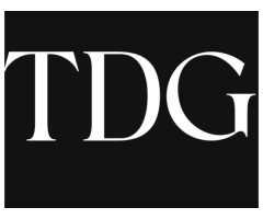 The Digital Global - Best Digital Marketing Agency in Delhi