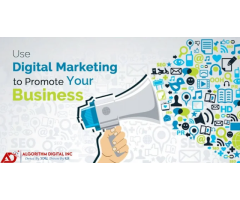 Algorithm Digital Inc