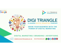 Digi Triangle Technology Pvt. Ltd.