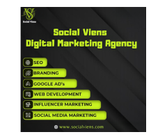 Social viens - Best Digital Marketing Agency in Delhi