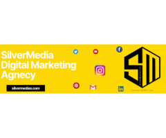 Silver Media Digital marketing agency Dwarka