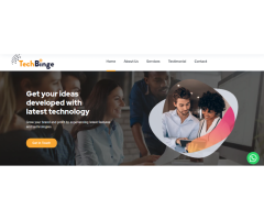 TechBinge India