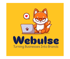Webulse - Best Website Designing Company in Delhi