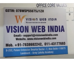 Vision Web India | Best Web Development & Digital Marketing Company In Delhi