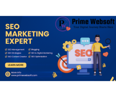 Prime Websoft | Website Designing Company in Dwarka