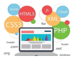 Pradeep Maurya Freelancer