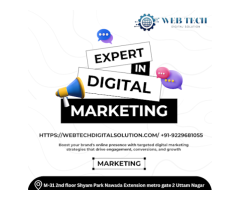 Web Tech Digital Solution - Best Digital marketing Agency in Delhi  India